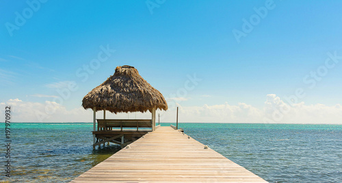 Pier with Thatch Cabana photo