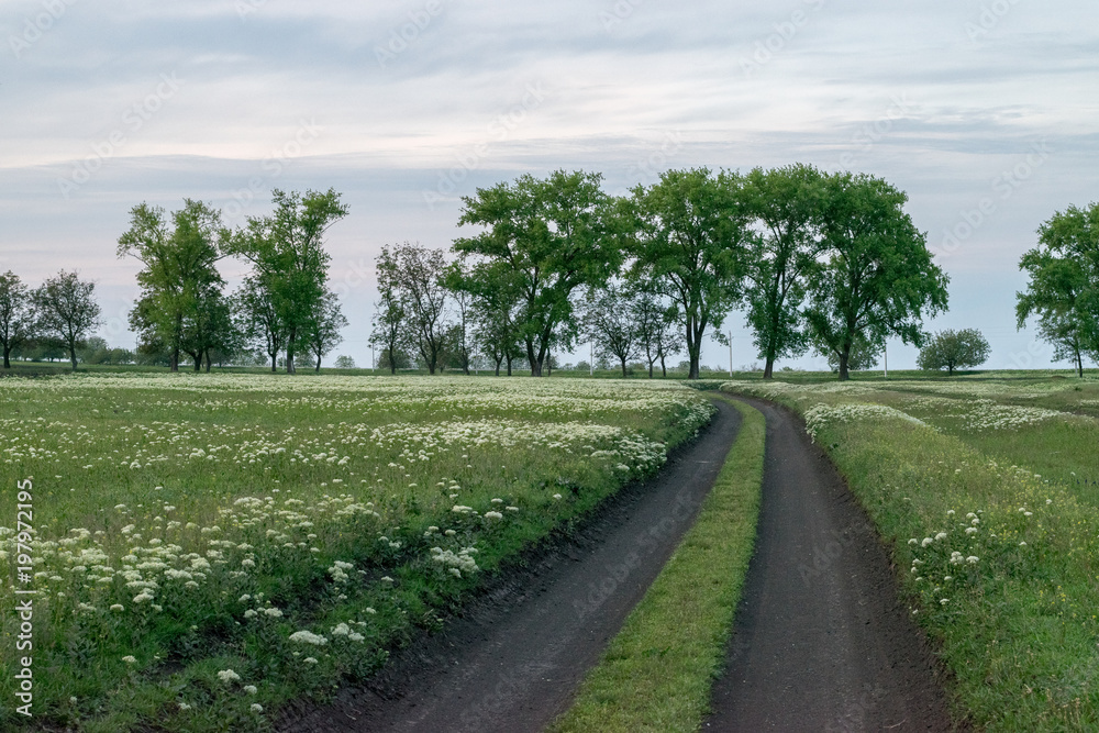 A curved road with flowers leading the way, with trees in the ba