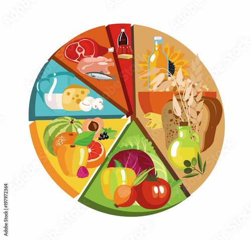 Food pyramid of  pie chart