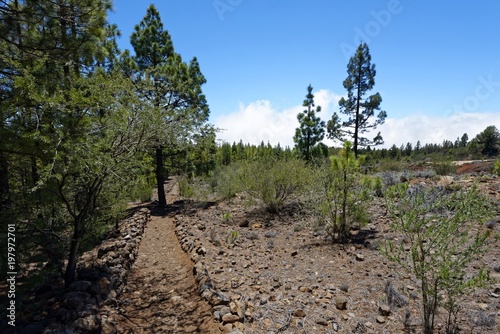 Teneriffa - Pasaje Lunar Wanderweg von Vilaflor photo