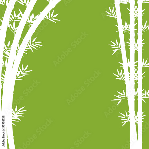 Background design with white bamboo on green