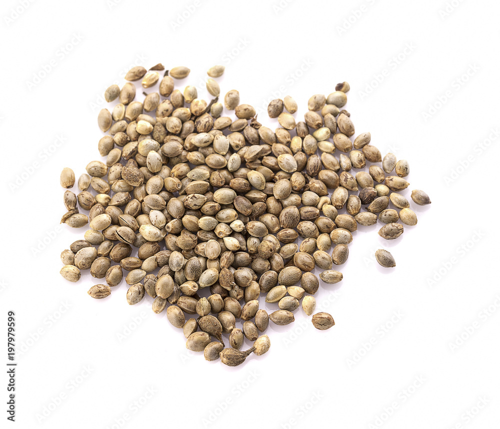 Heap of hemp seeds on white background Heap of hemp seeds on white background