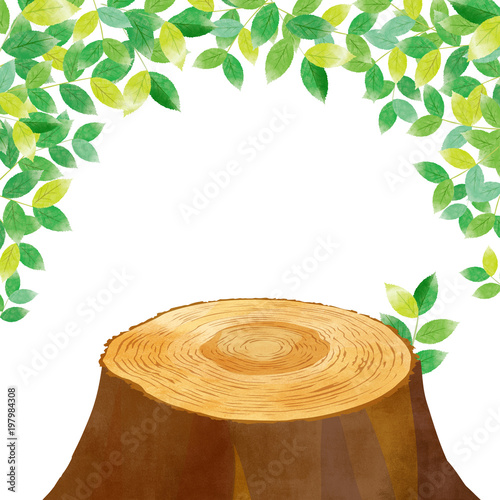 新緑と切り株 水彩イラスト Stock イラスト Adobe Stock