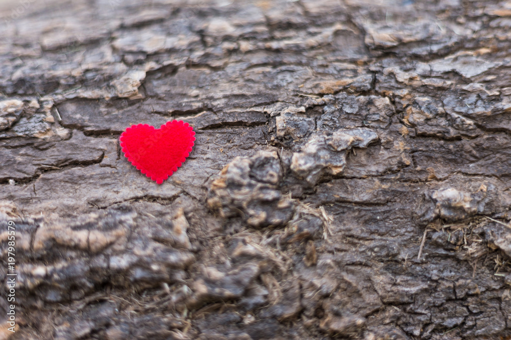 Small red heart on on Timber background. Small red heart on on Timber background.