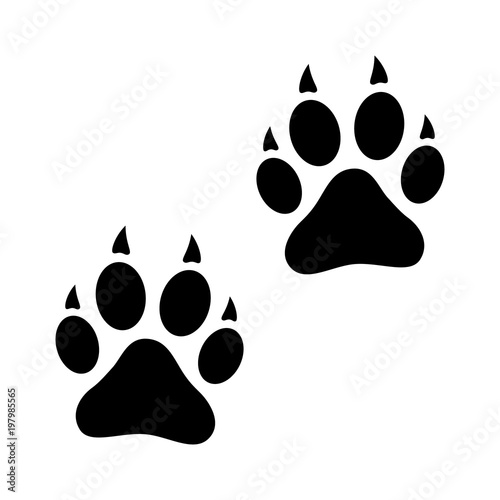 Dog, wolf or fox wild animal footprints / tracks flat vector icon for apps and websites