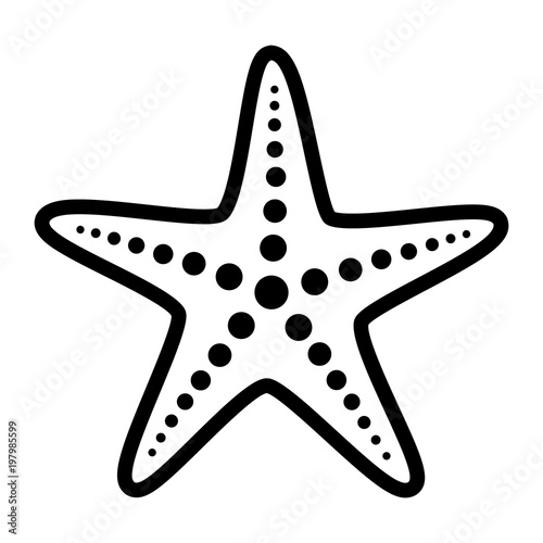 Fotografie, Obraz Common starfish or sea star fish marine life line art vector icon for apps and w