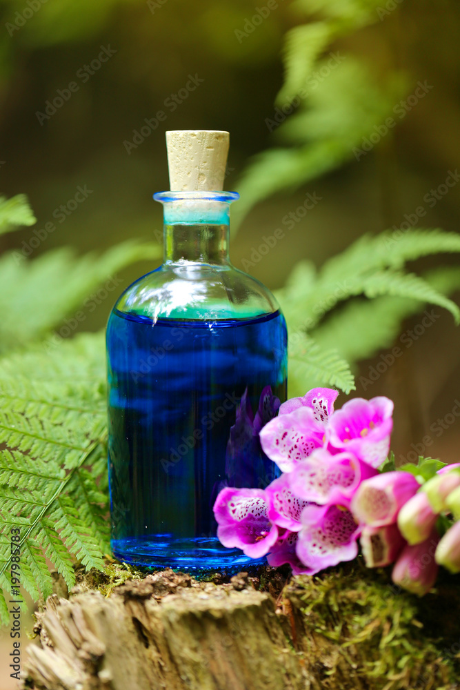 magic potion. Blue herbal tincture in a square  bottle and lilac flowers bells on an old moss  stump in the forest. herbal natural tincture. magic potion.Homeopathy and alternative medicine