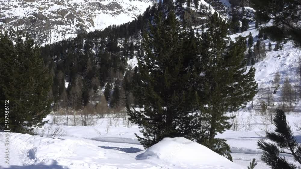 Cross Country Skiing in Snowy Alps in Winter Cross Country Skiing in Snowy Alps in Winter