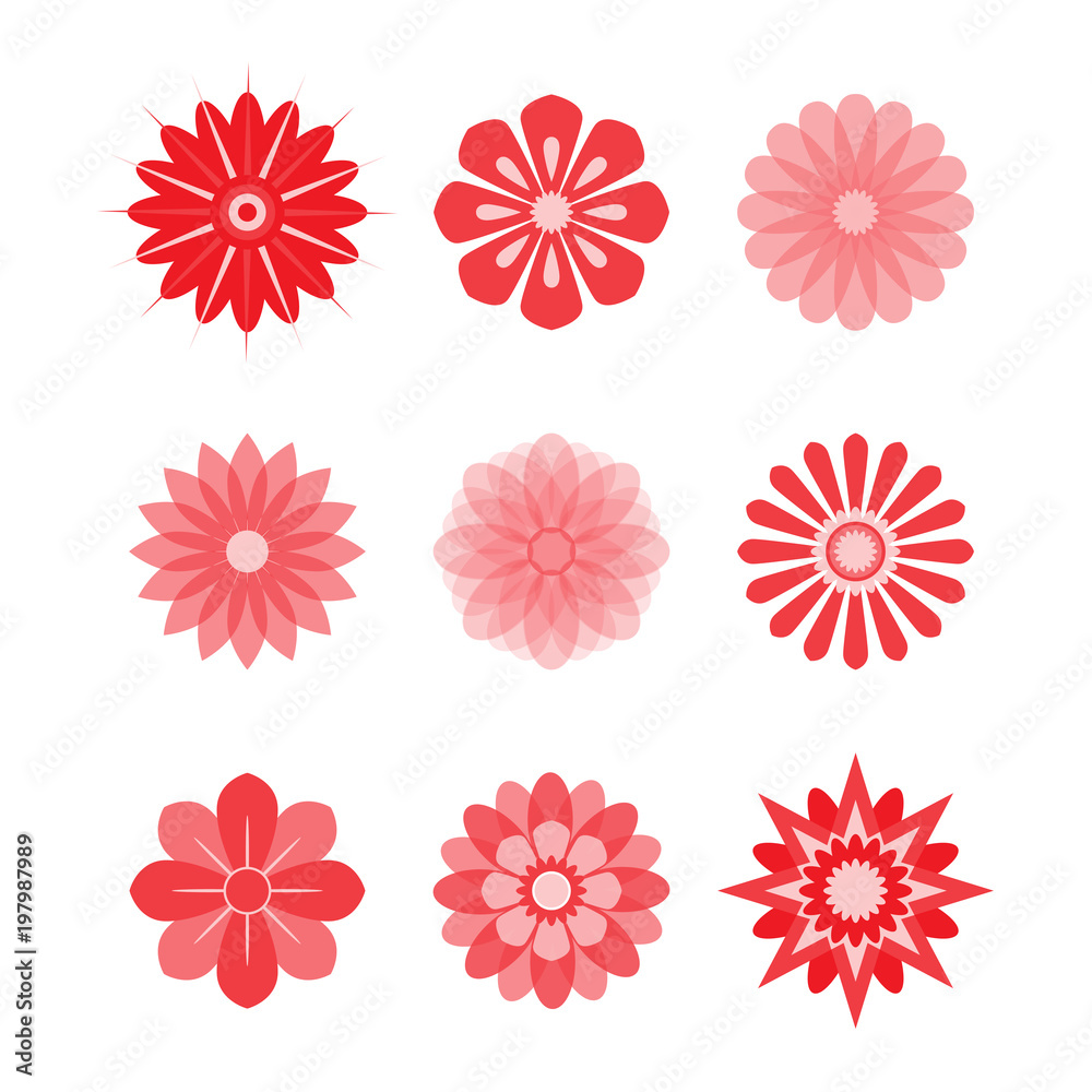 Stylized field or garden flowers, floral design elements. Colored icons set of 9 elements isolated on white background. Vector illustration