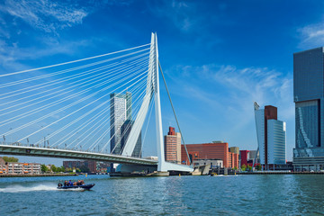 Fototapete Erasmusbrücke Rotterdam Stadtansicht moderne Hochhäuser  © Dmitry Rukhlenko