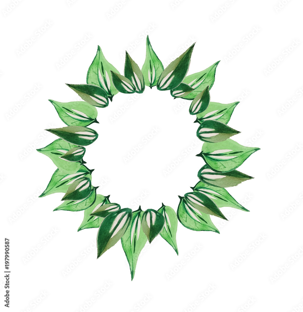 Fototapeta premium wreath green leaves