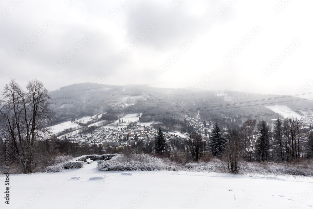 Snow on the tree branches. Winter View of trees covered with snow. The severity of the branches under the snow. Snow on the tree branches. Winter View of trees covered with snow. The severity of the branches under the snow.