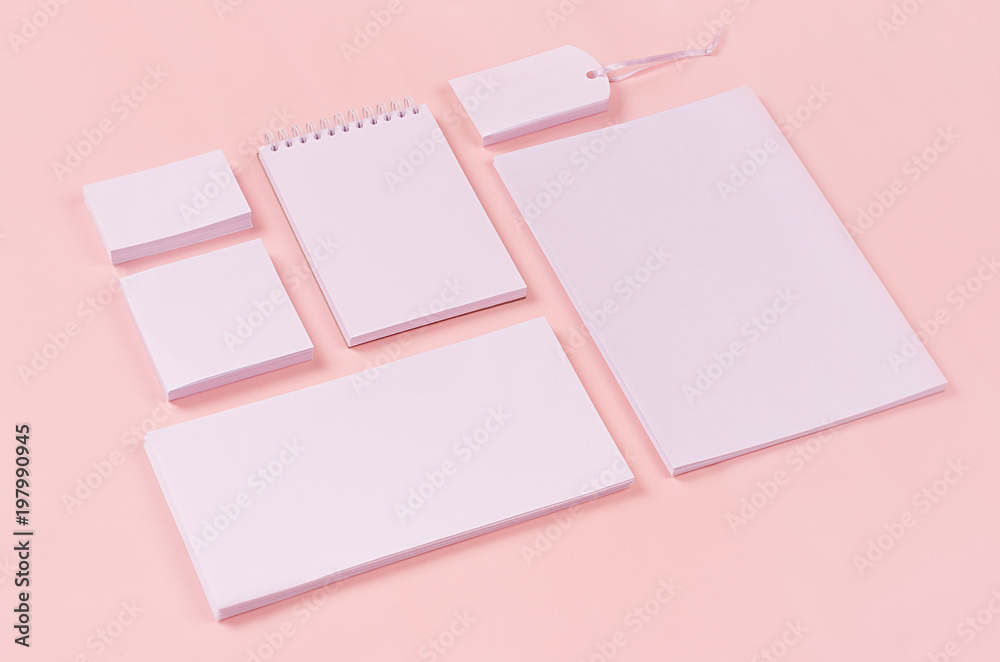 Corporate identity template with white stationery set on soft pastel pink background, inclined. Mock up for branding, business presentations and portfolios. Corporate identity template with white stationery set on soft pastel pink background, inclined. Mock up for branding, business presentations and portfolios.