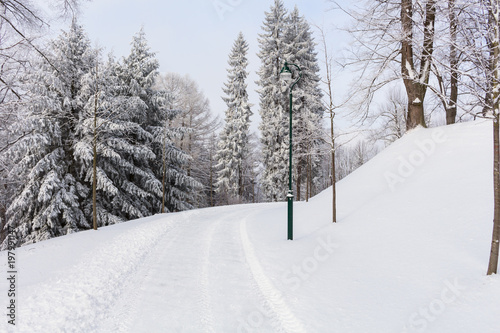 Photo of snowy landscape covered with snow and road in winter © Roman's portfolio