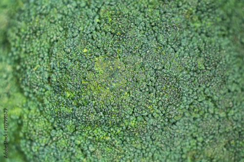 Background of broccoli