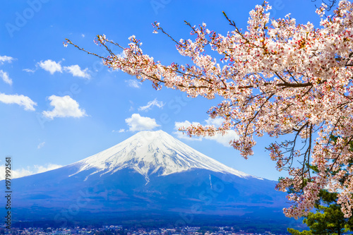 The Mount Fuji.Foreground is a cherry blossoms.The shooting location is Fujiyoshida City, Yamanashi Prefecture, Japan. © e185rpm