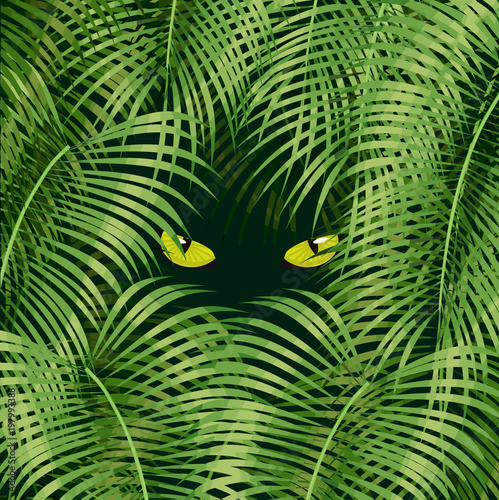 Wild cat eyes