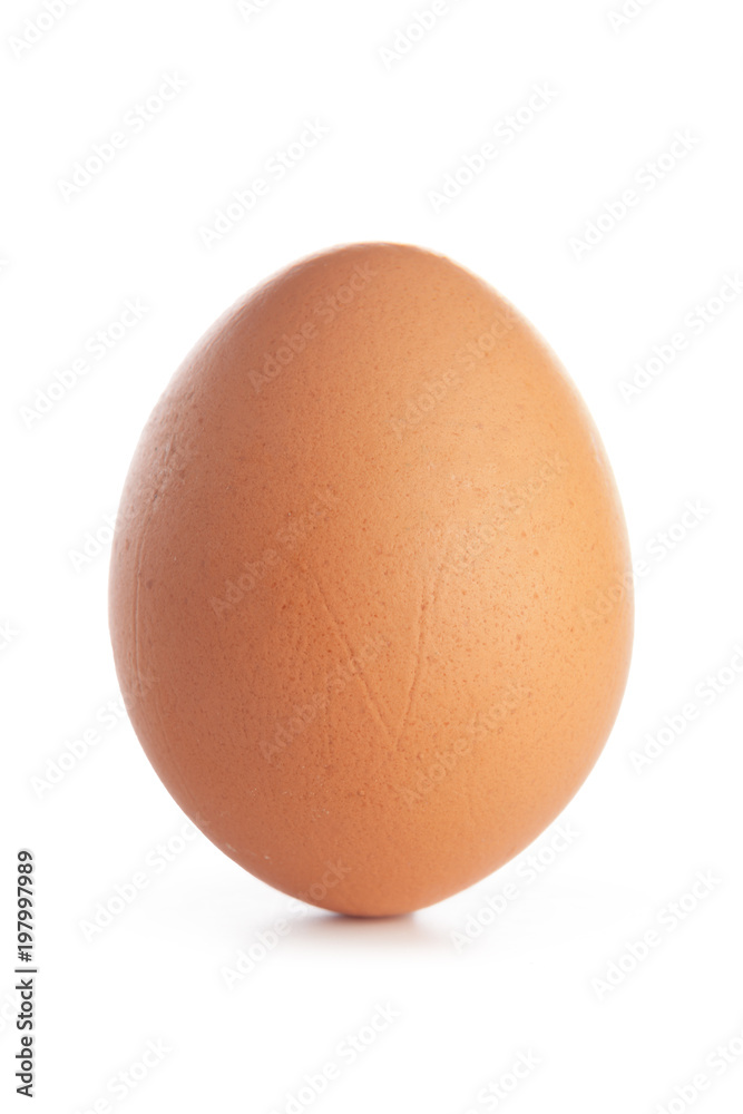 egg on white background egg on white background