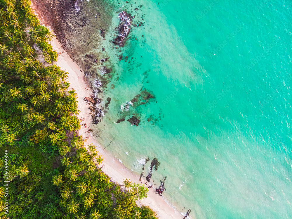 Aerial view of beautiful beach and sea with coconut palm tree