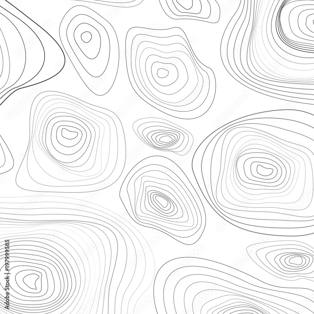 Fototapeta premium Stylized topographic contour height map in black and white