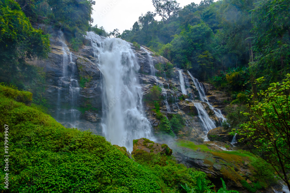 Water fall scenery wildlife at Doi Inthanon, Chiang Mai Province, Thailand