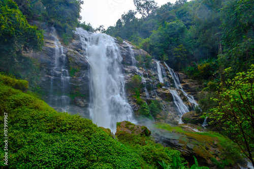 Water fall scenery wildlife at Doi Inthanon  Chiang Mai Province  Thailand