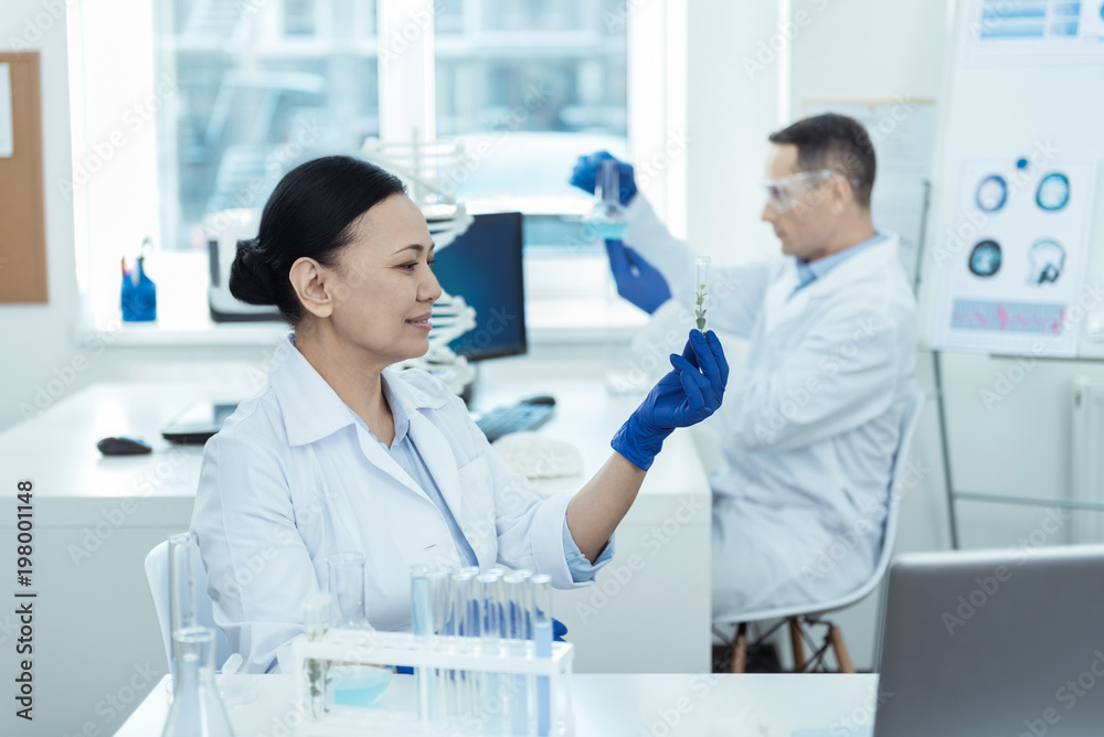 Our laboratory. Attractive delighted smart dark-haired scientist smiling and holding a glass and looking at it and her colleague sitting in the background Our laboratory. Attractive delighted smart dark-haired scientist smiling and holding a glass and looking at it and her colleague sitting in the background