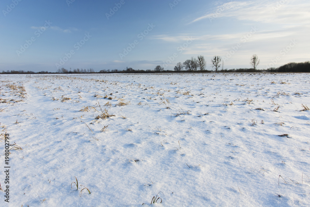 Snow on the field and blue sky Snow on the field and blue sky