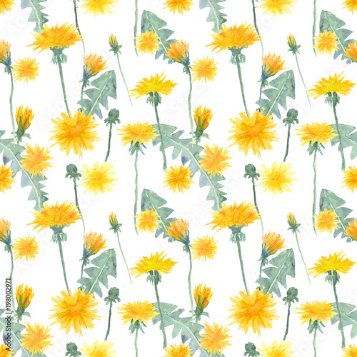 Watercolor dandelion seamless pattern