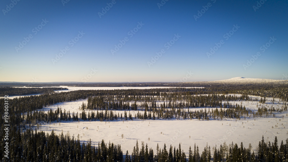 Aerial drone view of idyllic winter landscape. Green  snow covered forest from the top, sun rise in finland, nature from a birds eye view.