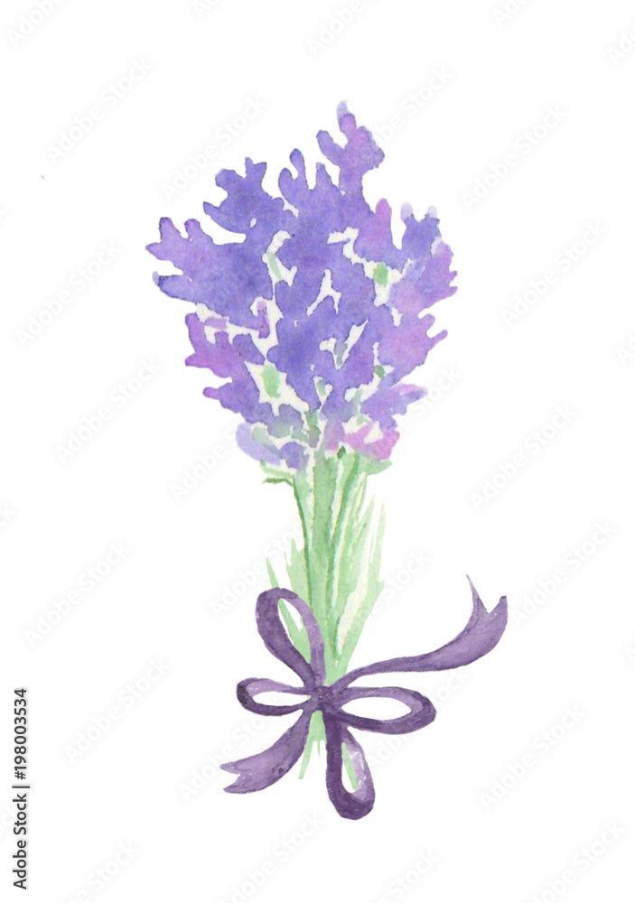 Watercolor bouquet of lavender