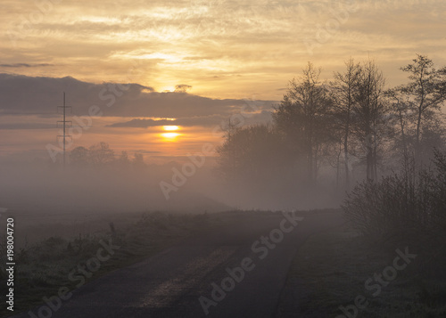 Foggy road during sunrise © Eelco