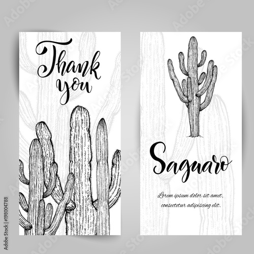 Hand drawn saguaro cactus