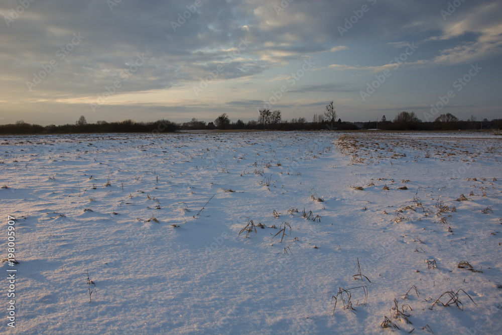Snow on a wild meadow and cloudy sky