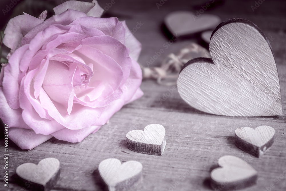 Fototapeta premium Rose mit Herz