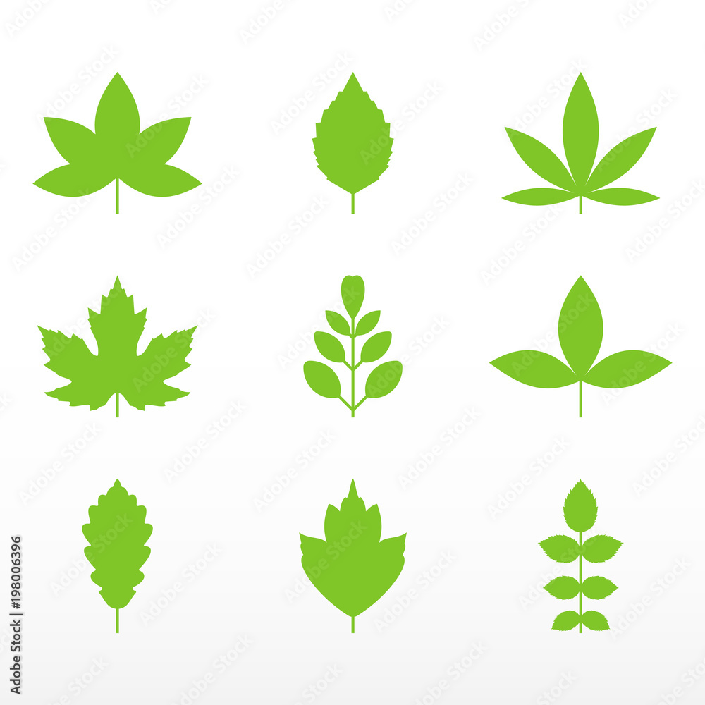 Green leaf set. Growth symbol icon. - obrazy, fototapety, plakaty 