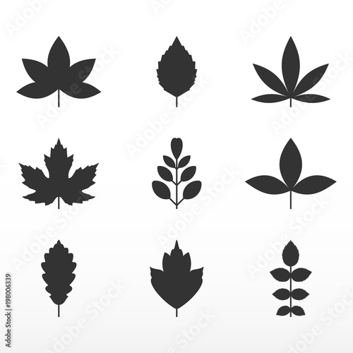Black leaf set. Growth symbol icon.