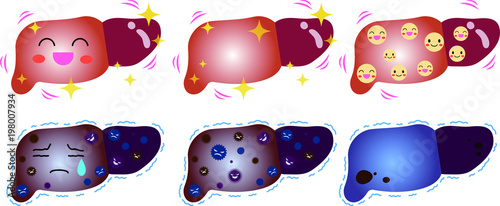Liver illustration set