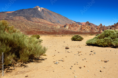 Teide volcano,Teide national Park,Tenerife,Canary Islands photo