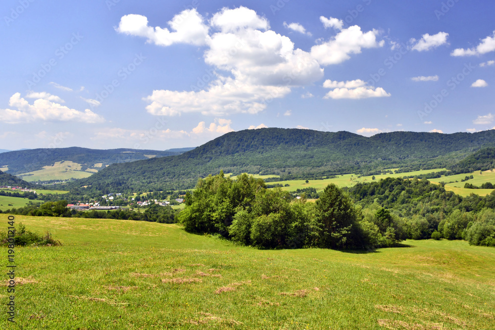 Summer mountain landscape with green field against a blue sky with clouds