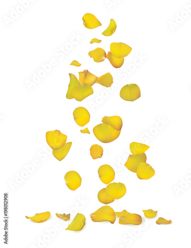Yellow roses petals are falling down. Spring romantic card. Floral background vector illustration.