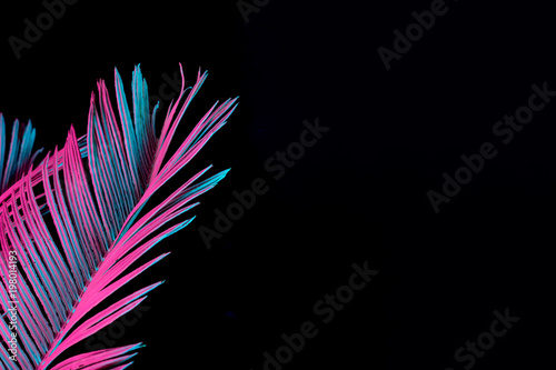 Fototapeta Naklejka Na Ścianę i Meble -  Tropical and palm leaves in vibrant bold gradient holographic neon  colors. Concept art. Minimal surrealism background.