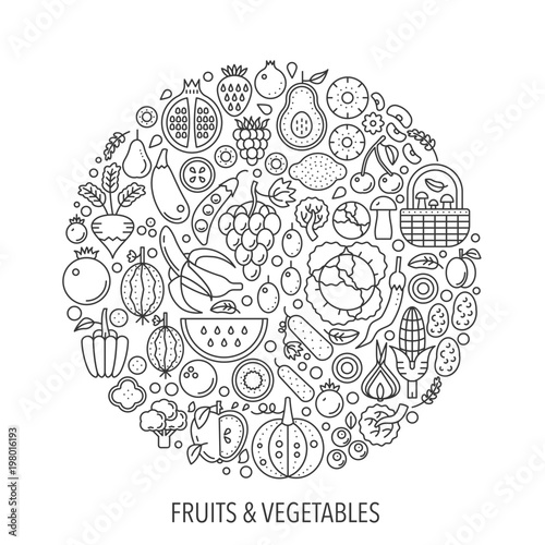 Fruits vegetables food in circle - concept line illustration for cover, emblem, badge. Fruits vegetables thin line stroke icons set.
