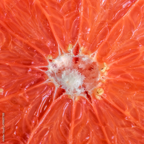 half grapefruit - extreme close up, of the inside