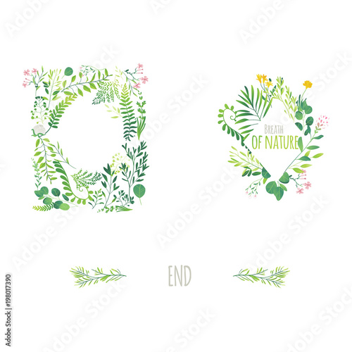 Vector cartoon abstract green plants flower herbs frame templates set. Meadow garden spring easter, women day romantic holiday, wedding invitation card summer floral Illustration white background