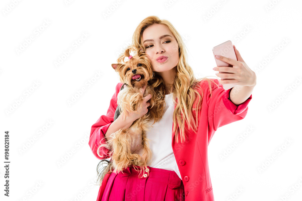 Young girl wearing pink suit holding cute Yorkshire terrier and taking selfie isolated on white Young girl wearing pink suit holding cute Yorkshire terrier and taking selfie isolated on white