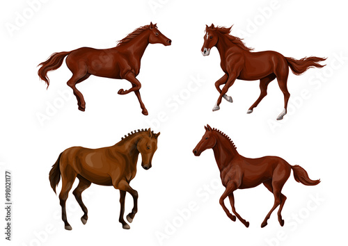 A set of realistic running and jumping beautiful horses.