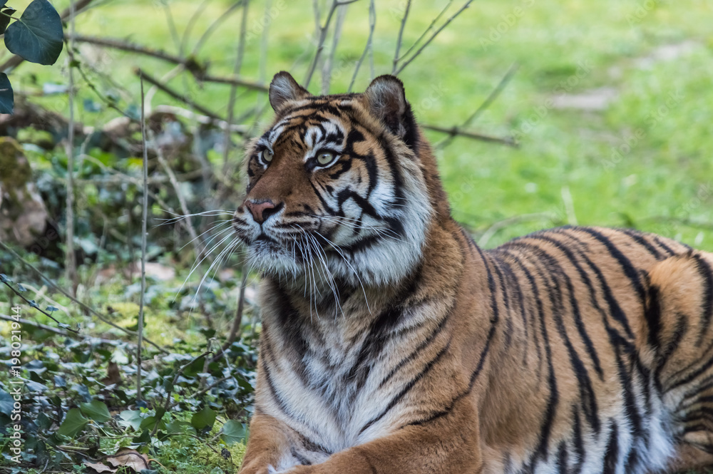 Fototapeta premium l'attente