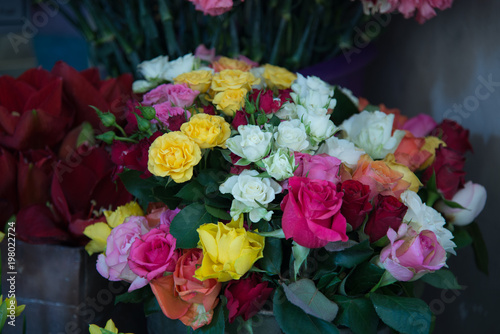 bunch of multicolor roses