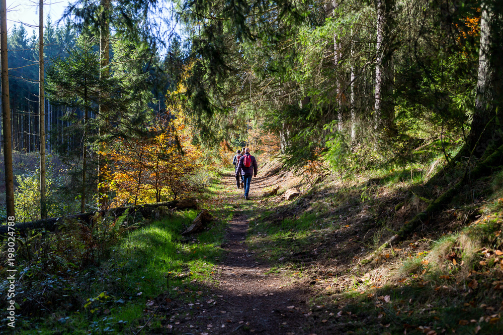 People walking in forest during fall People walking in forest during fall